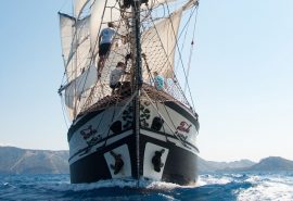 Florette bow sailing