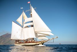Florette in Full Sail