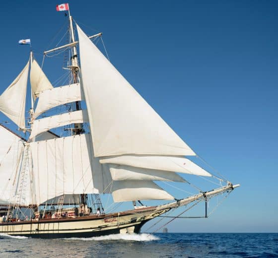 Florette in Full Sail Blue Sky