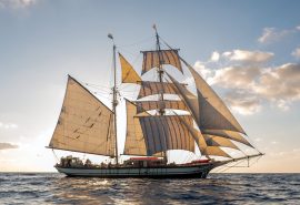 Florette in full sail with sunshine behind