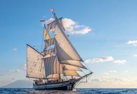 Florette in full sail with sunshine behind