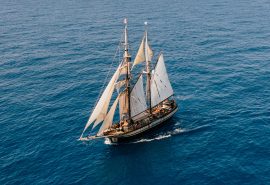 Florette seen from above