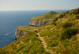 Florette view of Ta' Ċenċ Cliffs, Gozo, Malta