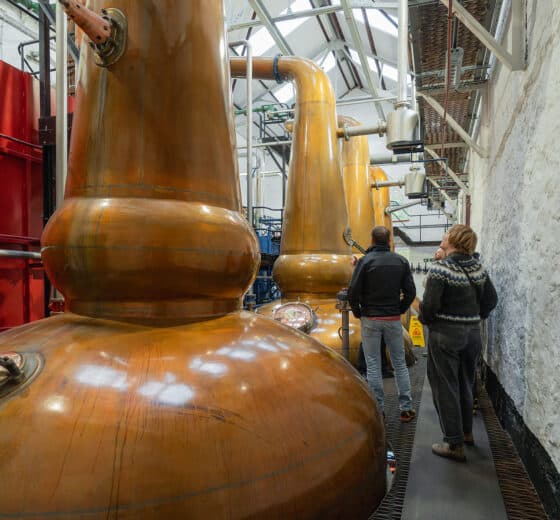 Flying Dutchman guests touring the Tobermory whisky distillery, Scotland