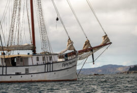 Flying Dutchman ship details bow