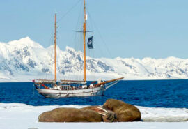 Goxsheim boat anchored in Arctic Svalbard with walrus wildlife Norway