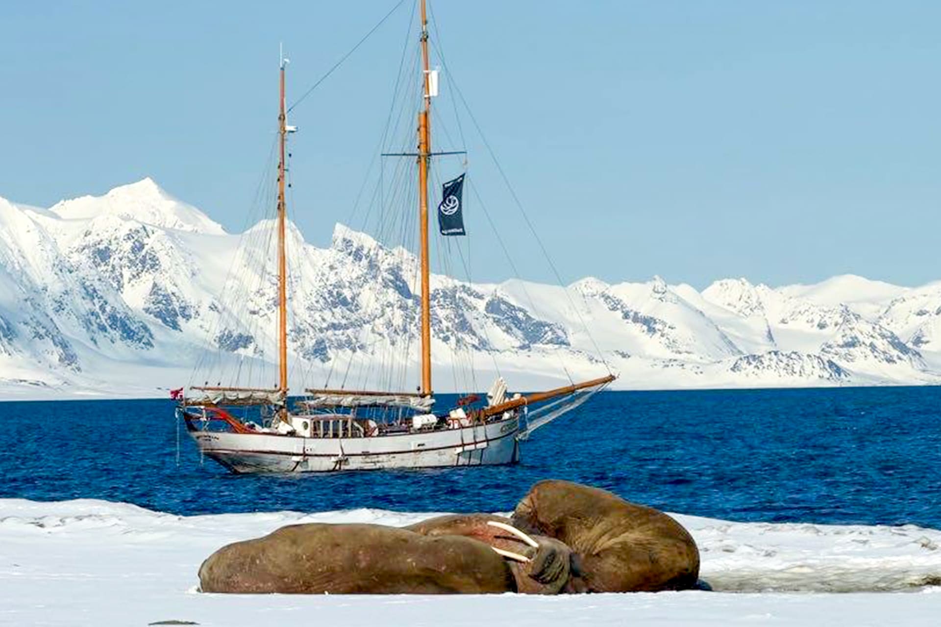 Goxsheim boat anchored in Arctic Svalbard with walrus wildlife Norway