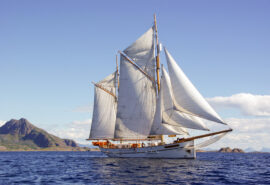 Goxsheim traditional boat sailing full sail