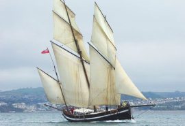 Grayhound full sail