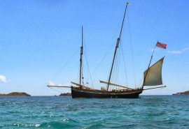 Grayhound on anchor