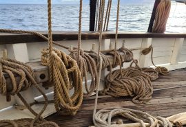 Grayhound ropes on deck