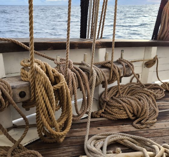 Grayhound ropes on deck