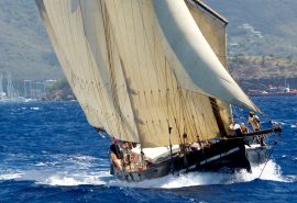 Grayhound sailing