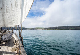 Grayhound sailing in Cornwall