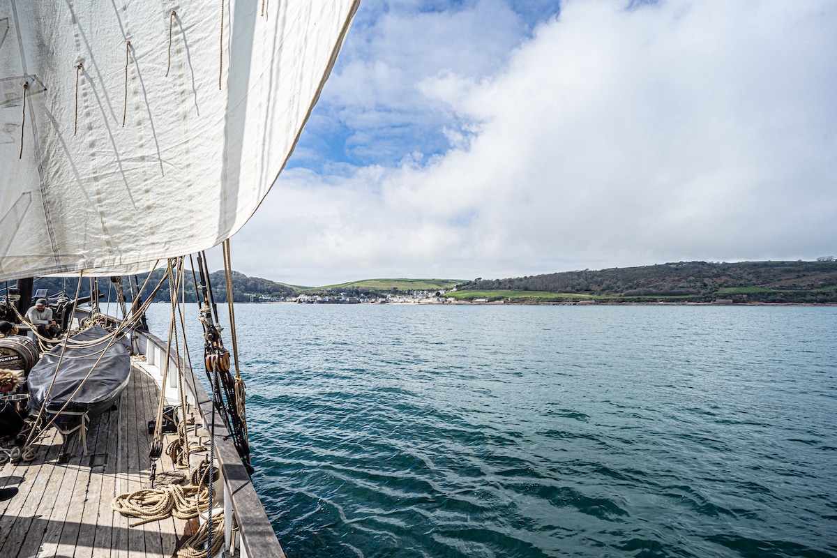 Grayhound sailing in Cornwall