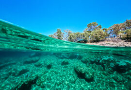Greece clear water swimming