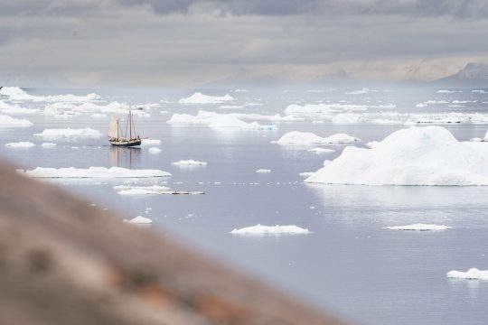 Greenland, Ilulissat Tecla