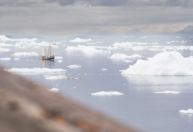 Adventure Sailing in Greenland