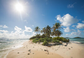 Grenadines Caribbean