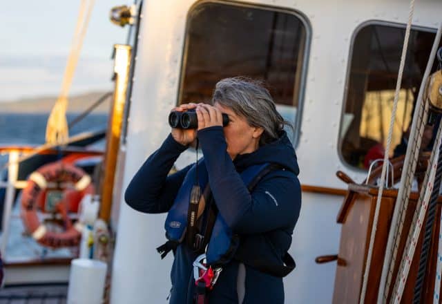 Guest wildlife watching on Blue Clipper
