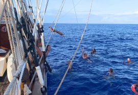 Guests swimming with Florette Caribbean