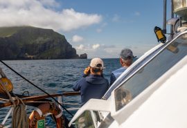 Guests watching shore from Blue Clipper
