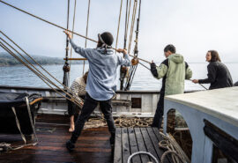Hoisting the sails on Grayhound