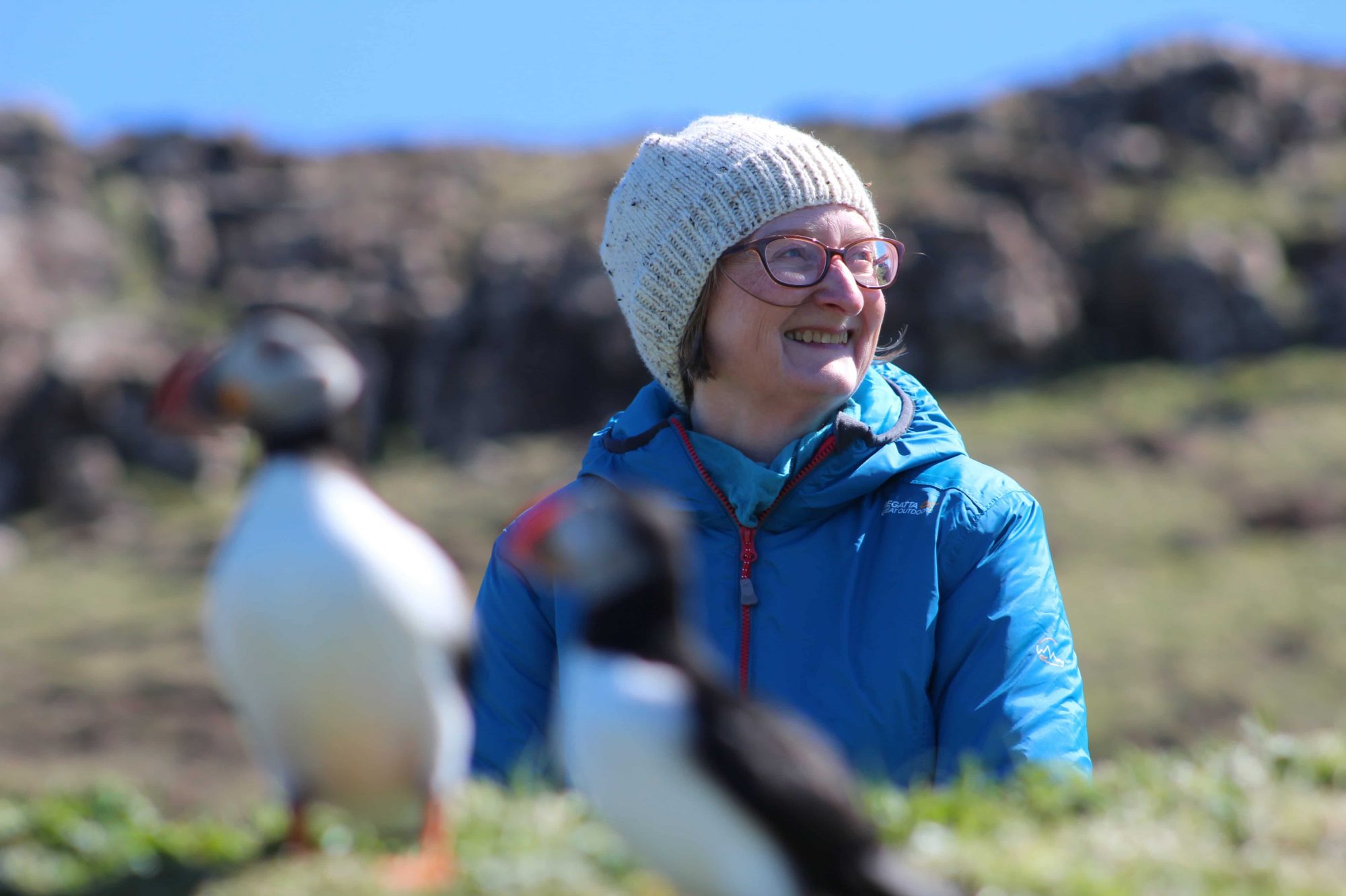 Puffins and guest on St Kilda