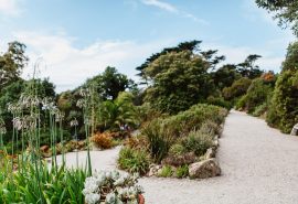 Tresco Abbey Gardens Isles of Scilly Sailing Holiday