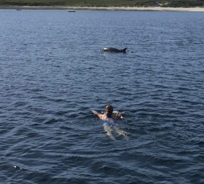 Swimming with whales on Zuza