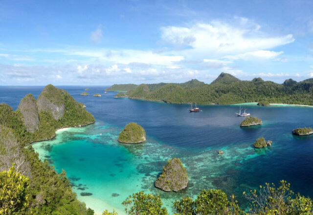 Sailing & Wildlife in Indonesia; Corals, Cultures & Dragons