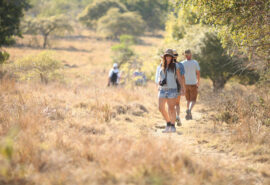 Indonesia Komodo Trek