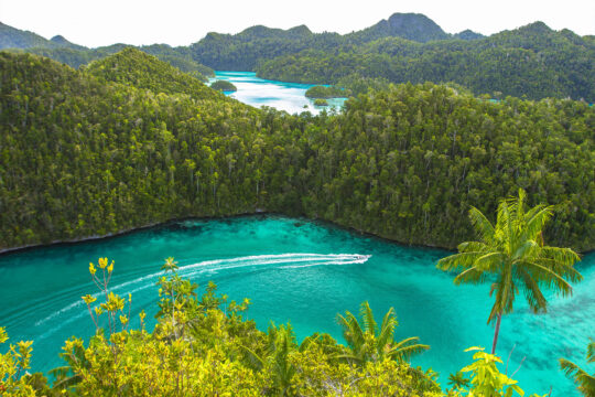 Indonesia Raja Ampat Nature