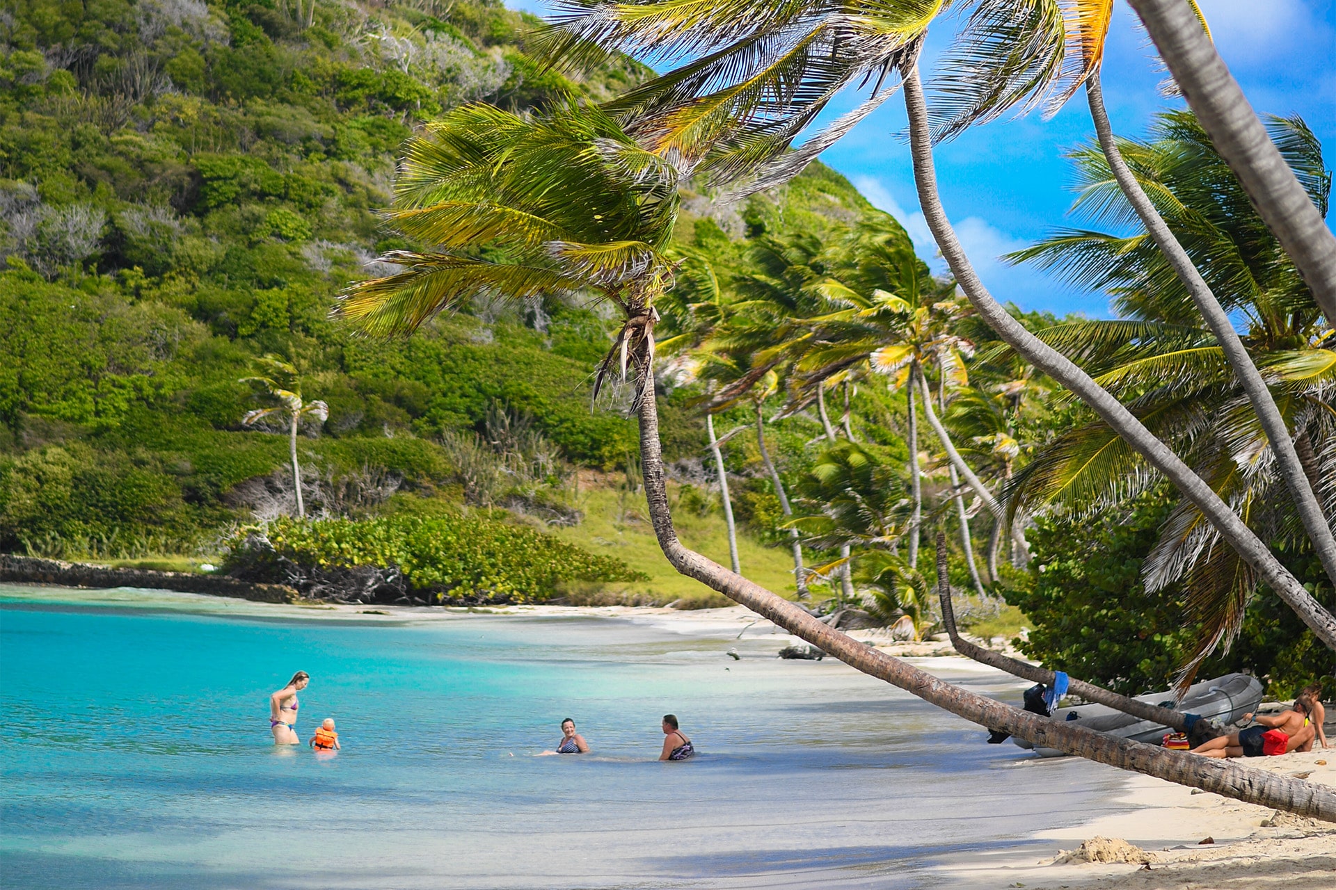 Ingrid More guests on palm tree beach Grenadines Islands, Caribbean