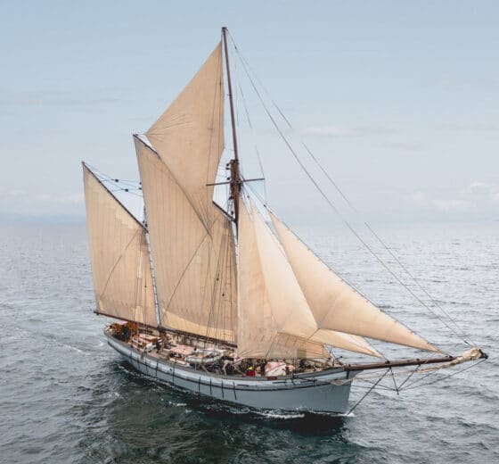 Irene Sailing in Falmouth