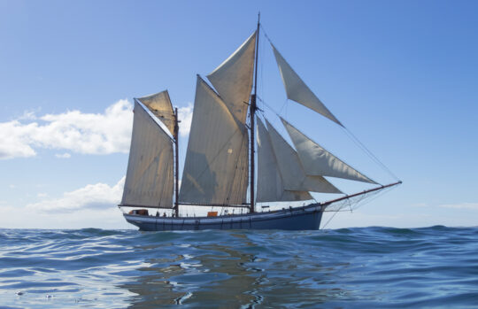 Irene blue sea sailing