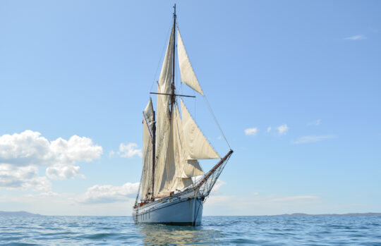 Irene bow sailing