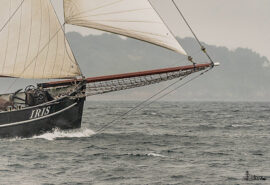 Iris bows sailing
