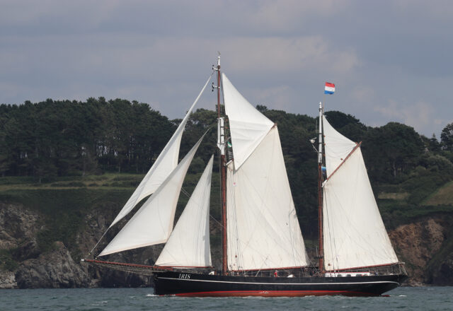 Tall Ship Sailing from Amsterdam to Kiel