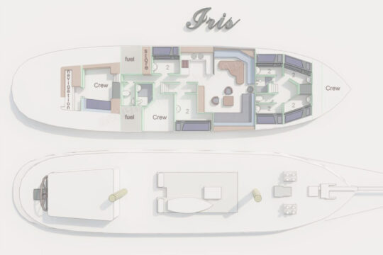 Iris deck plan