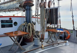 Iris new galley seating