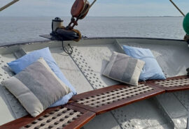 Iris new stern seating