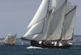Iris sailing race