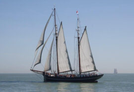Iris sailing stern