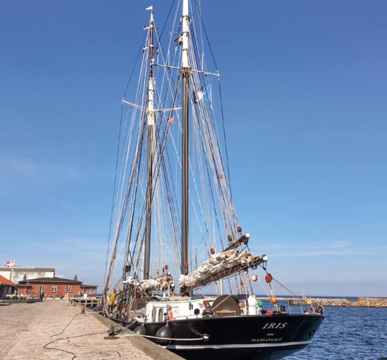 Iris tall ship alongside in baltic sea