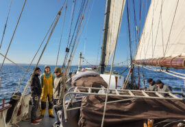 Iris tall ship on deck underway sailing guests on board baltic sea