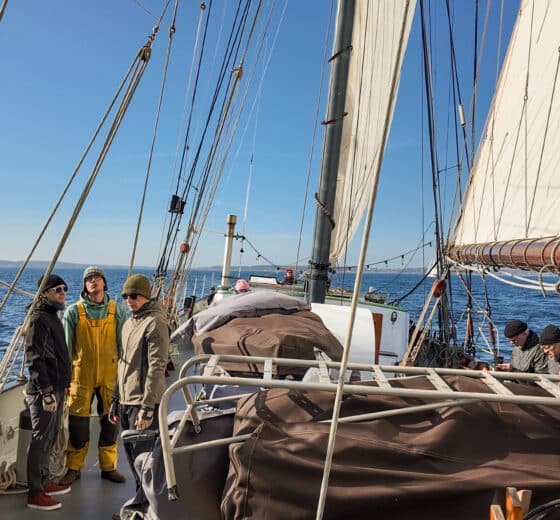 Iris tall ship on deck underway sailing guests on board baltic sea