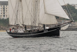 Iris under sail