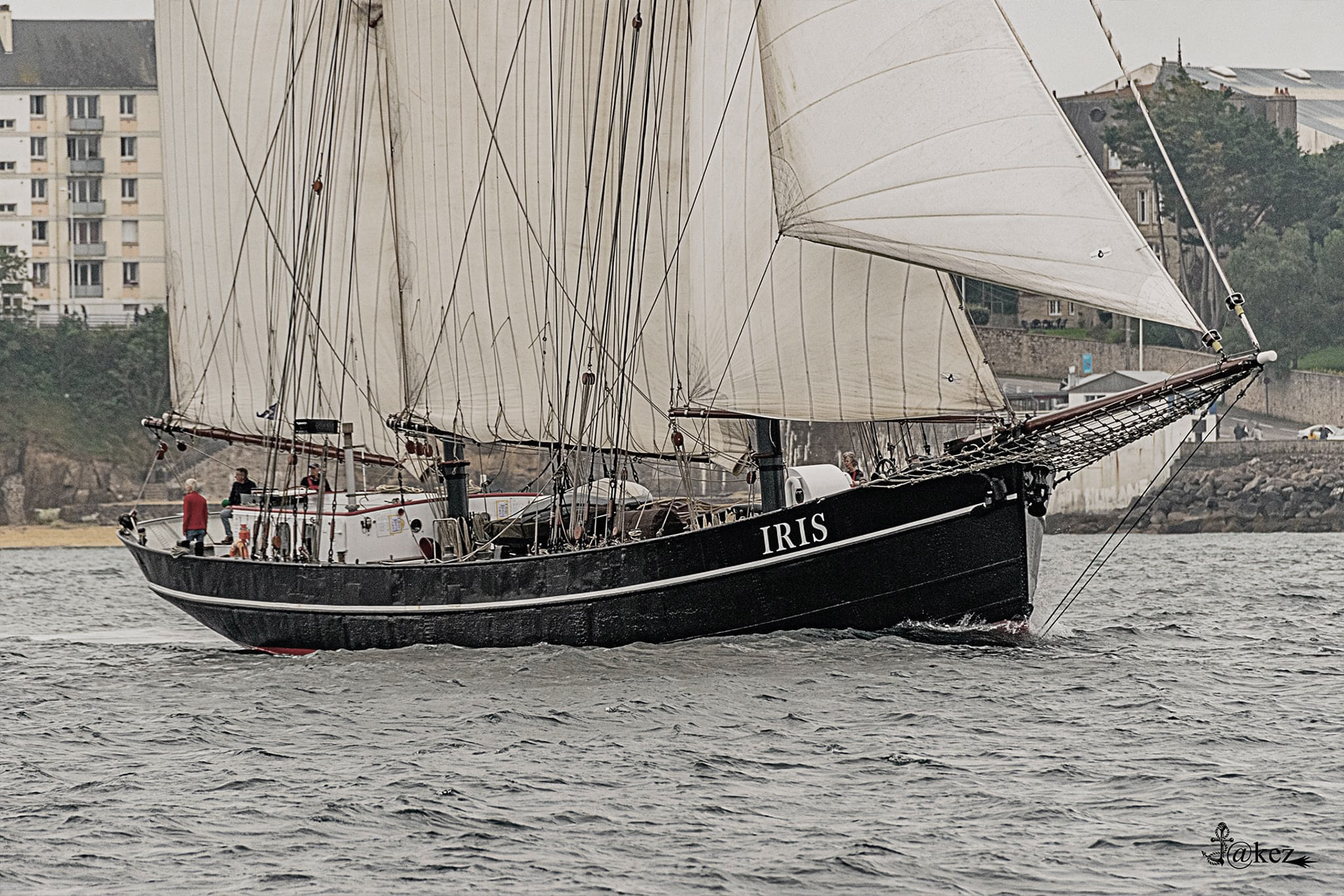 Iris under sail