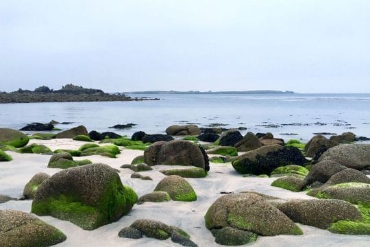 Isles of Scilly rocks